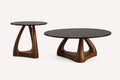 Eitan pair of coffee tables with smoked glass tops on organic wood bases